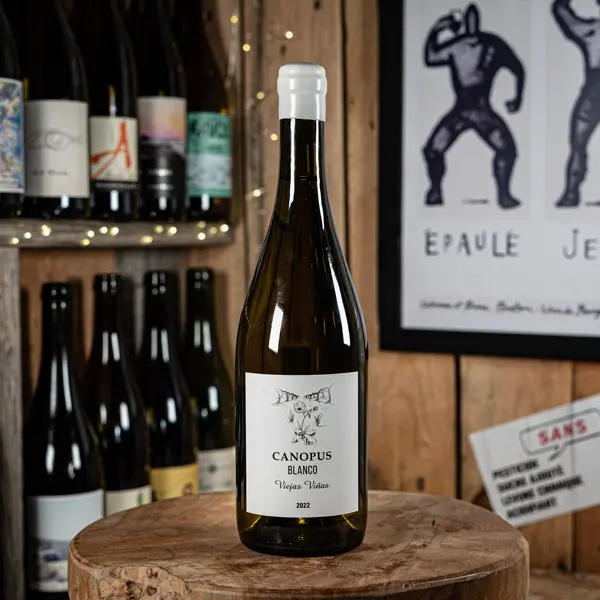Canopus Blanco 2022 - Canopus